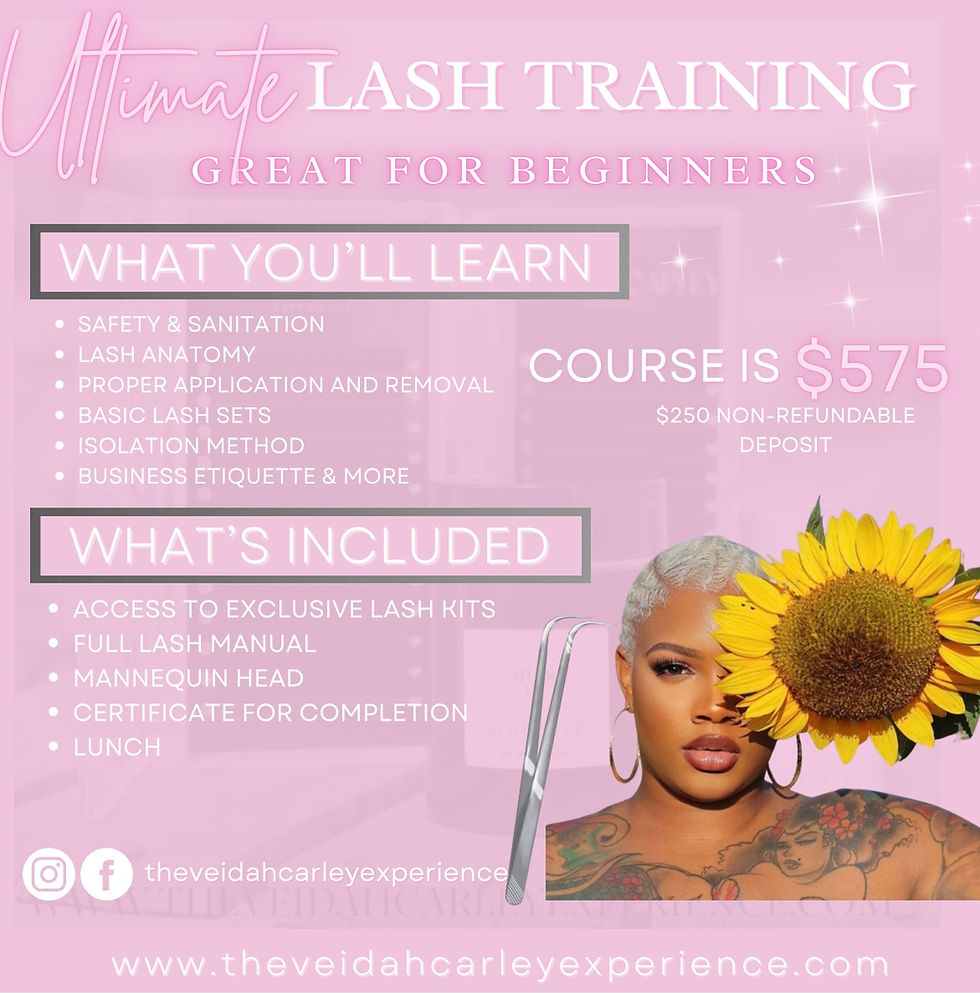 Beginners Course Now available