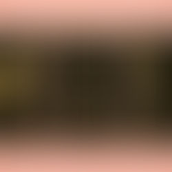 Emotional Truth, Sacred Pause, and New Seeds