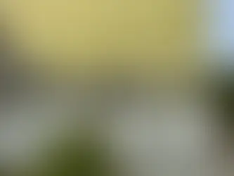 Gelbe Großschirme in einer Reihe über weißen Korbsesseln auf der Steinterrasse eines historischen Gebäudes