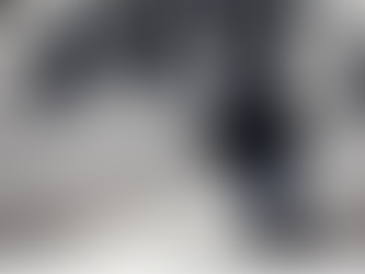 Organisering av innkjøp av kollektivtransport i Telemark