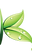 K for kvaas.png