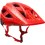 Thumbnail: Fox Mainframe