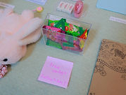 WhatsApp Image 2026-01-17 at 11.26.24 PM.jpeg