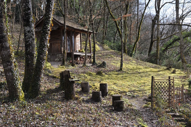 Thumbnail: The other way