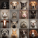 Les bonnes JPP* : ...27/X...Pour vos animaux aussi...