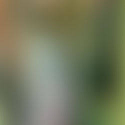 Painting and decorating, Finsbury Park