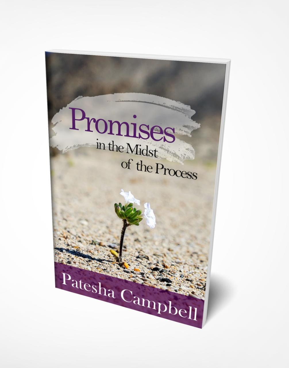 Promises in the Midst of the Process 