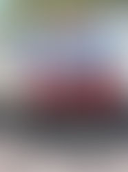 Movers in Tampa, FL | The Movers Moving & Storage