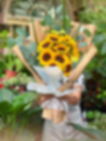 A4050 你是我的太陽