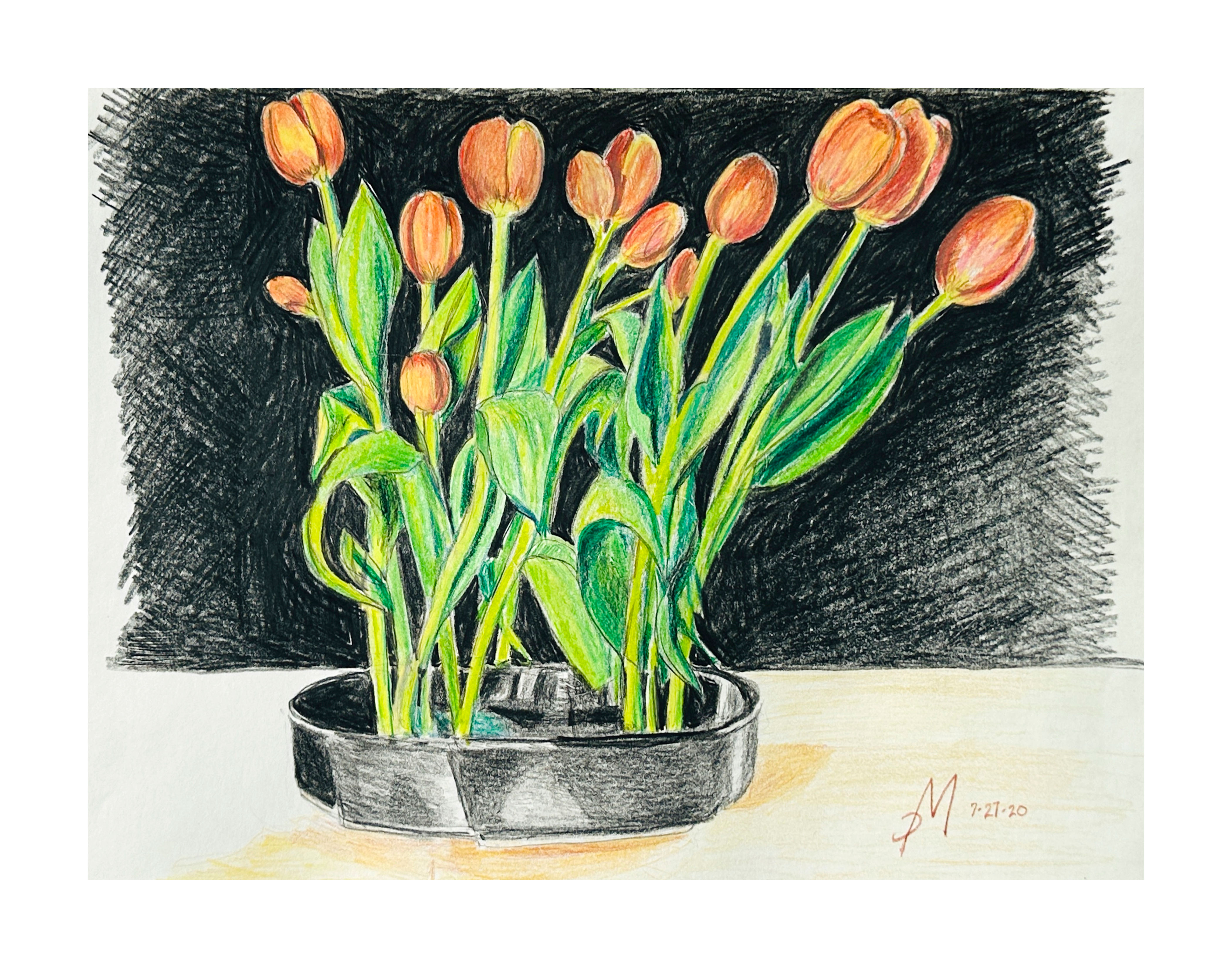 Tulip Friends
