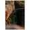 Miniatura: Foam print cliffwalk Spain