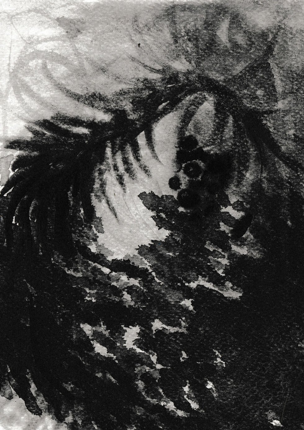 20241016002456_001.jpg