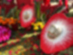 Strawberry Skulls for Linda Pace