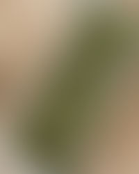 פסטו-הממרח הכי בריא ושימושי שיש