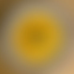 מרק כתום מופחת פחמימה🧡