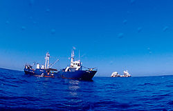 Illegal Commercial Fishing