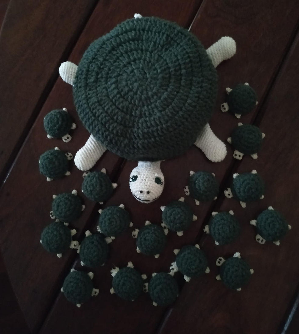 Miniatura: Jogo da Memória - tartarugas