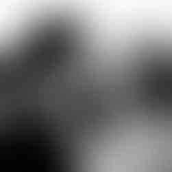 Black and white photo of a couple sharing a kiss  - Anima Visual, Wedding photography in the Gold Coast