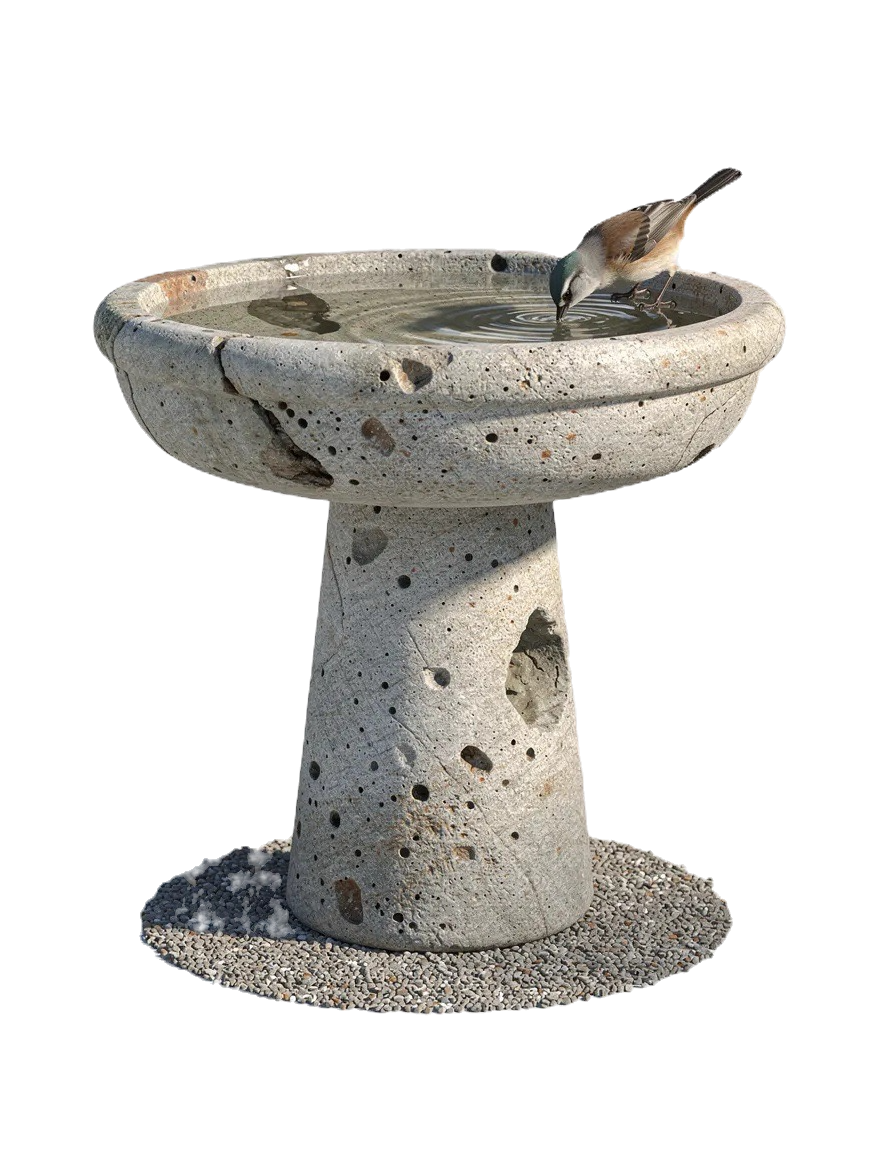 An isolated image of a stone bird bath - Gold Coast Landscape Supplies, Hope Island