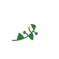 Brand Illustration 4.png