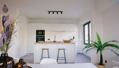 ZilvervosstraatWilrijk- HildeEyckmans-43.jpg