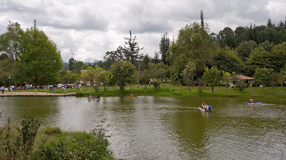 Piedras 5