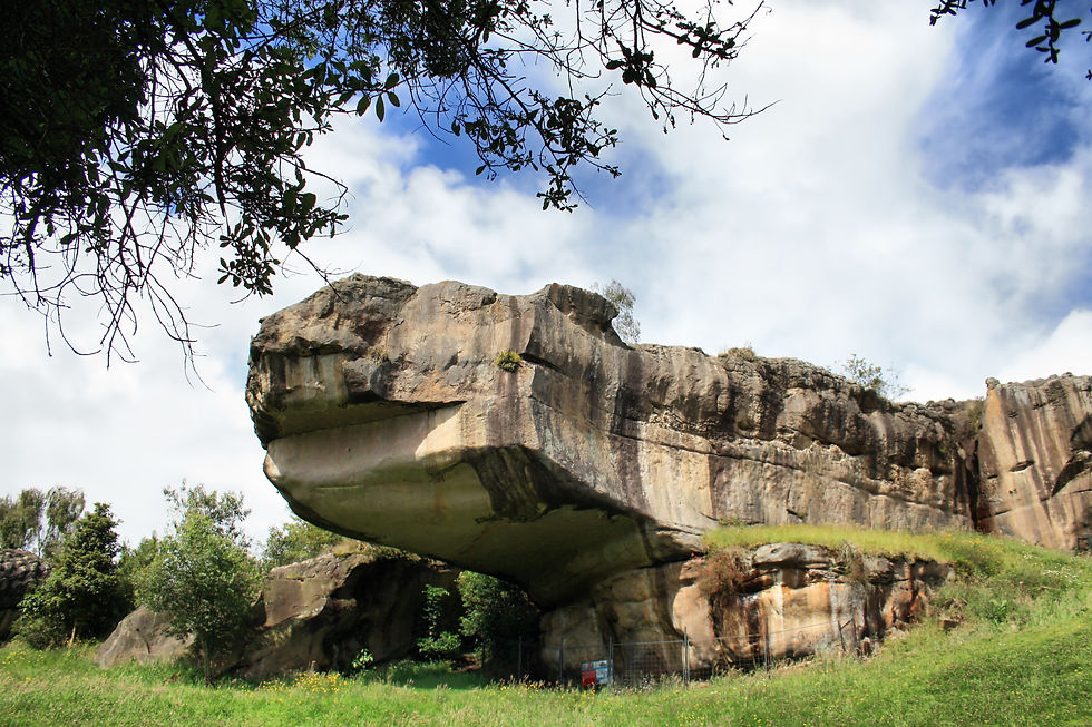 Piedras 6