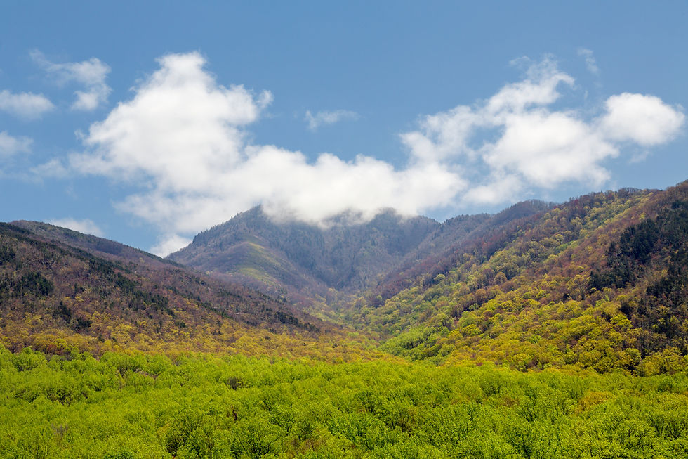 View of the Great Smoky Mountains National Park