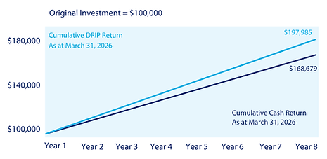 IBMIC Fund Overview (March 2026).png