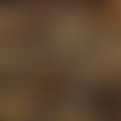 Uncovering the Secrets: How Ancient Chinese Medicine Strengthens the Immune System for Cold and Flu Defense