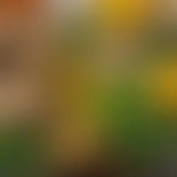 Unveiling the Ancient Healing Power: How Acupuncture and Herbs Combat Joint Pain in Cold Weather