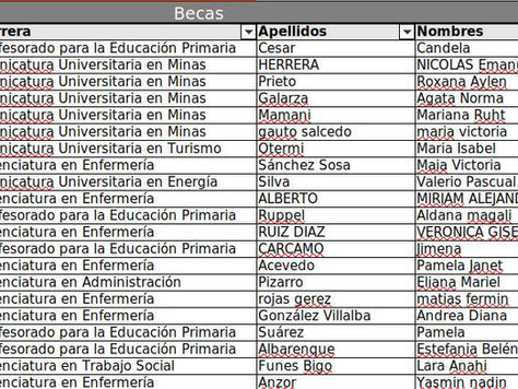 BECAS UNPA 2026 | Acceso y Permanencia - Bienestar Universitario