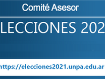 Resolución 008/2021 Comité Asesor