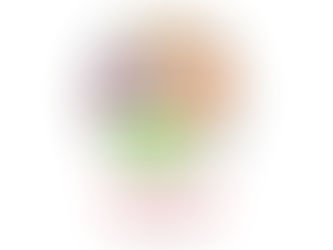 Plan de Gestión de Diversidad y Compromiso