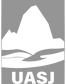 ISOLOGO POSITIVO copia gris.png
