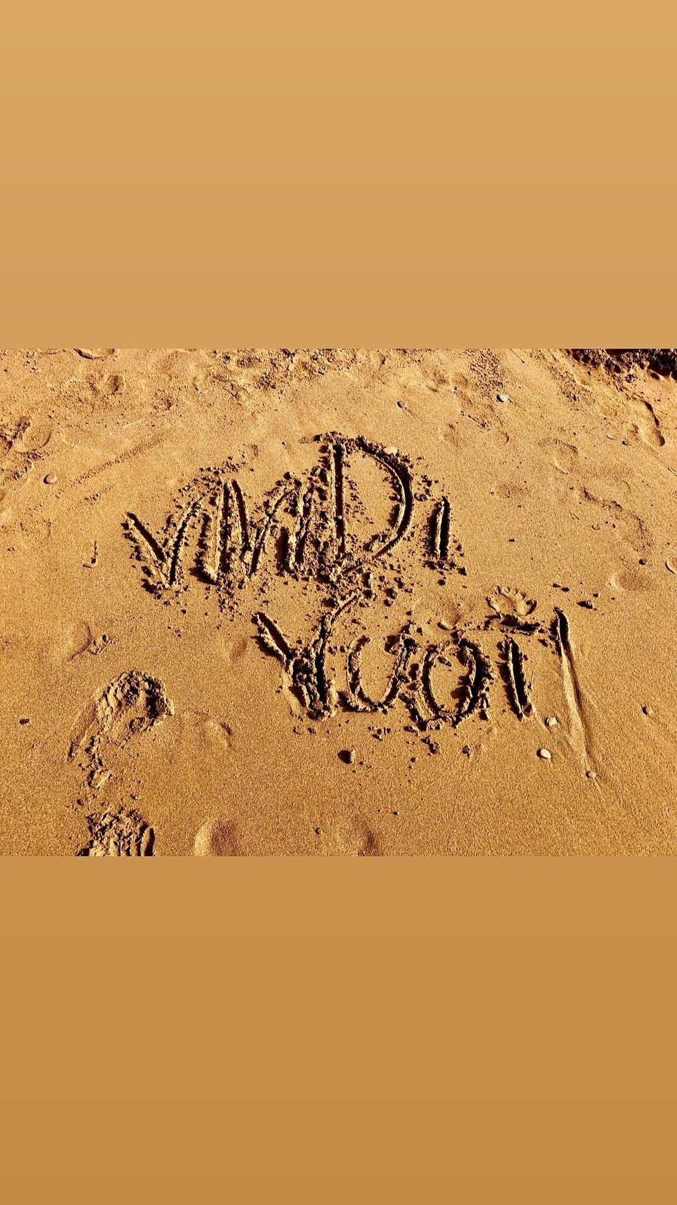 Un nuovo inizio: ViviDi Vuoti