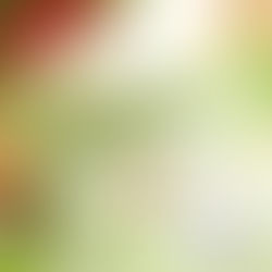 À Noël, offrez un moment de sérénité 🌟