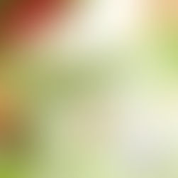 À Noël, offrez un moment de sérénité 🌟