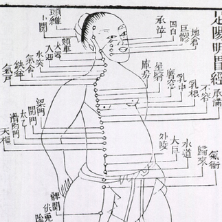 méridiens médecine chinoise