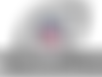 NFL says Fuck It, Plans To Sandwich Entire Post Season Into One Weekend