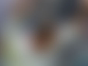 Report: Every NFL Coach Personally Hates Your Fantasy Football Team