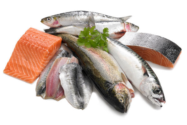 Poissons gras