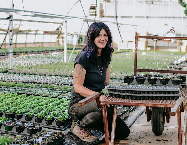 About | Frankensteins Nurser