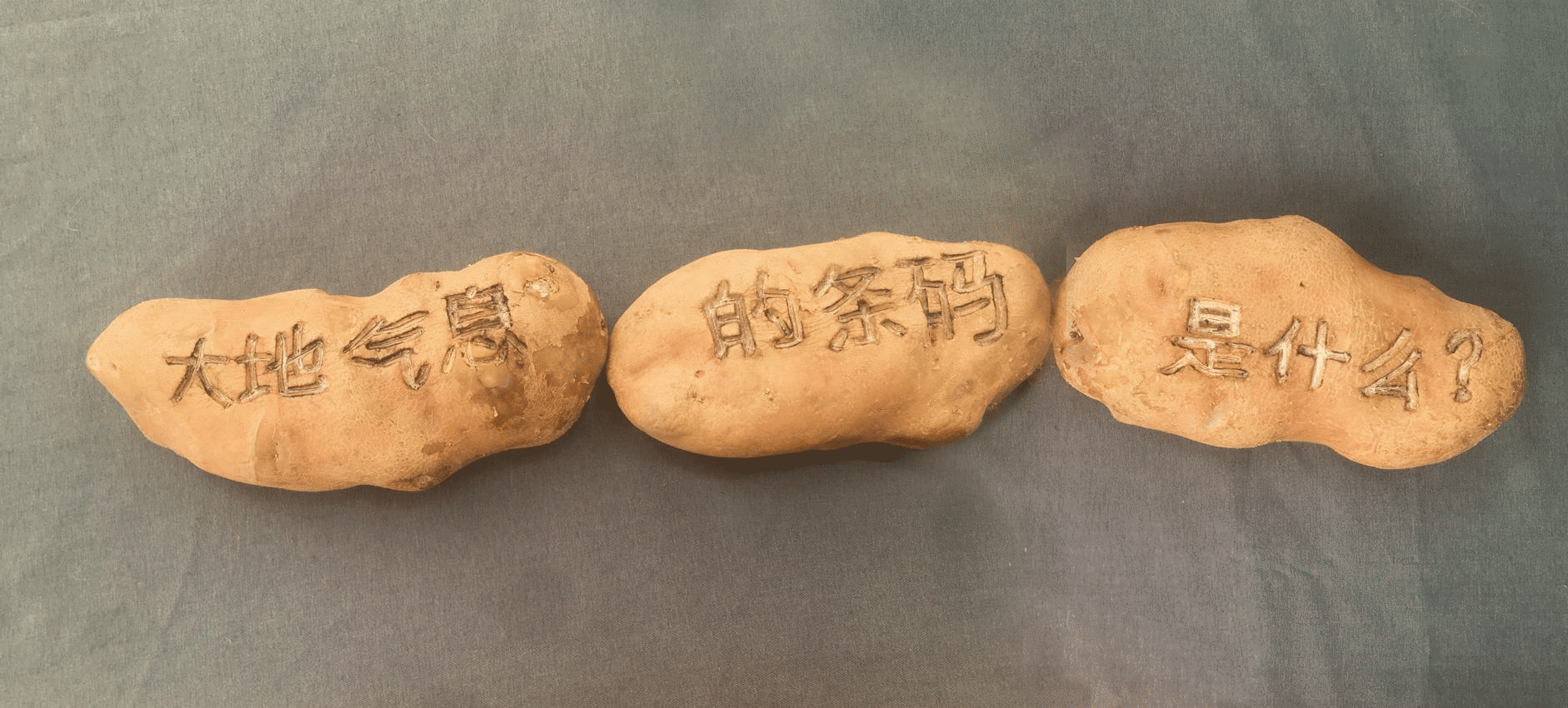 Aliento, día  3, performance de cuerpos no humanos, poesía visual objeto, grabado expandido.