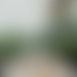 When Is the Right Time to Start Wedding Planning?