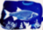 Fisch.jpg