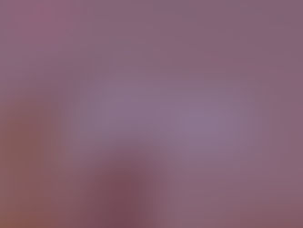 O camundongo, o urso, o búfalo e a águia .