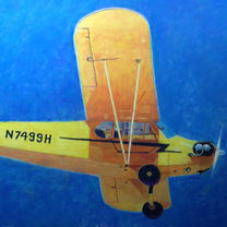 Piper Cub Soft Pastel