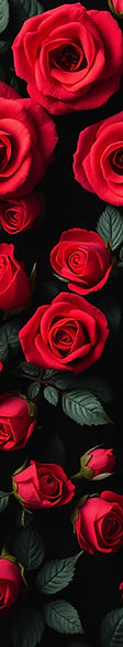 red and black