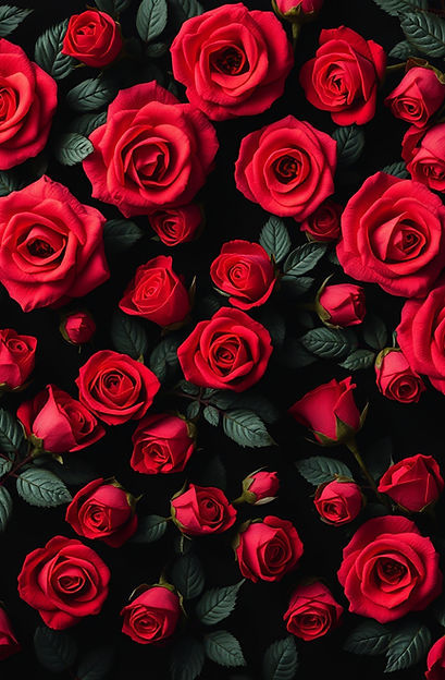 RED AND BLACK